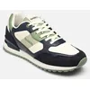 Image de OBVIOUS par Redskins Multicolore 43 Homme