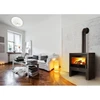 Image de Poele A Bois Deville Castillon C077br-06