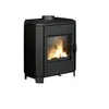 Image de Pôele à bois fonte 8kw noir Invicta P916244
