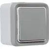 Image de Legrand INTERRUPTEUR 10AX GRIS VA-ET-VIENT 250V, Bouton + interrupteur, Gris