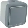 Image de Legrand LEG69901 Interrupteur ou va et vient apparent complet Gris Plexo