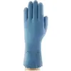Image de Ansell, Gants de protection, Gants pour produits chimiques AlphaTec 62-201 (10)