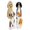 Image de Animal en peluche Gipsy Chiens réalistes assis 25 cm Modèle aléatoire