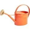 Image de Arrosoir en acier galvanisé avec pomme 1.75 litres rouge corail