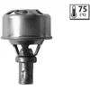 Image de Thermostat Valeo 819921