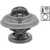 Image de Thermostat Valeo 819970