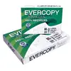 Image de Evercopy - Ramette Papier A3 80g Evercopy Premium
