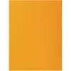 Image de Exacompta, Porte-documents, Fardes de classement - Couvertures de dossiers (A4, 100x)