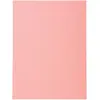 Image de Exacompta, Porte-documents, Fardes de classement - Couvertures de dossiers (A4, 100x)