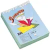 Image de Rainex standard 250 100 chemises 24 x 32 cm vert pré 400vp