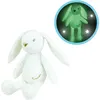 Image de JEMINI Luminou Lapin blanc Peluche lumineuse naturelle fonctionne sans pile+/- 20 cm