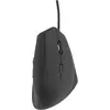 Image de T'nB Muergov (Filaire), Souris, Noir