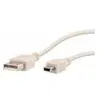 Image de T'nB CABLE USB 2.0 TYPE A - MINI B M/M 1M (BLANC) (1 m, USB 2.0), Câble USB