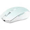 Image de Souris Rechargeable Dual Connect Gradient - Bleu
