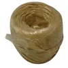 Image de Raphia synthétique beige CORDERIE TOURNONAISE 42/1901 100 g 40 m