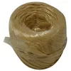 Image de Raphia Synthetique Beige Pelote 100gr 40m Env. Cavalier