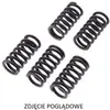 Image de TRW, Moto : accessoires, Ressorts d'embrayage ZF pour YAMAHA MT-03 (2006-2009), XT 660X/R (2004-2009) et XTZ 660 TENERE