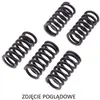 Image de TRW, Moto : accessoires, Ressorts d'embrayage ZF pour Aprilia ETV 1200 Caponord (2013-2017) et SMV 1200 Drosoduro (2013-2017)