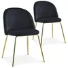 Image de Lot de 2 chaise paris prix H. 79 cm non empilable non pliable interieur en metal noir