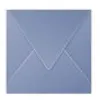 Image de 20 Enveloppes Pollen - Myosotis - 140x140mm