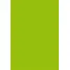 Image de Paquet de 25 cartes simples Pollen 135x135mm Vert Menthe 210g
