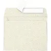 Image de 20 Enveloppes de visite Pollen - Ivoire irisé - 90x140mm