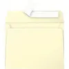 Image de Enveloppes - Format rectangle - 90x140mm - Pollen - Canari - 20 unités - Clairefontaine