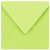 Image de Enveloppe Pollen 165 x 165 x 20