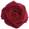 Image de Papier Crépon - Framboise - 2,5 x 0,5 m