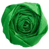 Image de Papier Crépon - Vert pré - 2,5 x 0,5 m