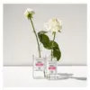 Image de Berdoues Eau de Cologne Rose