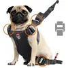 Image de Zolux Szelki dla psa TRAVEL SAFE S czerwone (Chien), Transport d'animaux