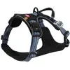 Image de Zolux Bvk Hondentuig Blauw (L, Chien, Promenade, Sport canin), Collier + laisse