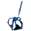 Image de Zolux Easyride Hondentuig Blauw (XL, Chien, Général), Collier + laisse