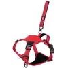 Image de Zolux Easyride Hondentuig Rood (M, Chien, Promenade), Collier + laisse