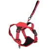 Image de Zolux Easyride Hondentuig Rood (L, Chien, Promenade), Collier + laisse