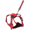 Image de Zolux Easyride Hondentuig Rood (XL, Chien, Promenade), Collier + laisse