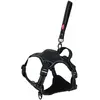 Image de Zolux Easyride Hondentuig Zwart (XL, Chien, Promenade), Collier + laisse