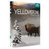 Image de Yellowstone, la lutte pour la vie [Blu-ray] [FR Import] en occasion ou reconditionné
