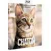 Image de Une vie de chaton Blu-ray