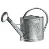 Image de Arrosoir Acier Galvanisé - 13 L