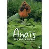 Image de Anaïs s'en va-t-en guerre DVD