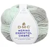 Image de Pelote de Laine Merino Essentiel Ombre - 150g - DMC : Laine Dégradée pour Projets d'Automne/Hiver(...) - 1006 Vert et Gris