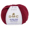 Image de Pelote de Laine et Alpaga Sublime Alpaca - DMC(...) - 502 Rouge
