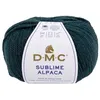 Image de Pelote de Laine et Alpaga Sublime Alpaca - DMC(...) - 812 Vert