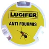 Image de Boîte-appât anti-fourmis LUCIFER MASY 199 10 g cyphenothrin
