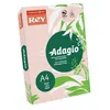 Image de 500f Adagio Rose A4 80g A4 Rose