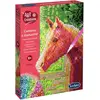 Image de Sentosphere Image en strass Cheval