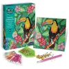 Image de Canevas à diamanter - toucan