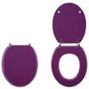 Image de WIRQUIN - Abattant colors line prune
